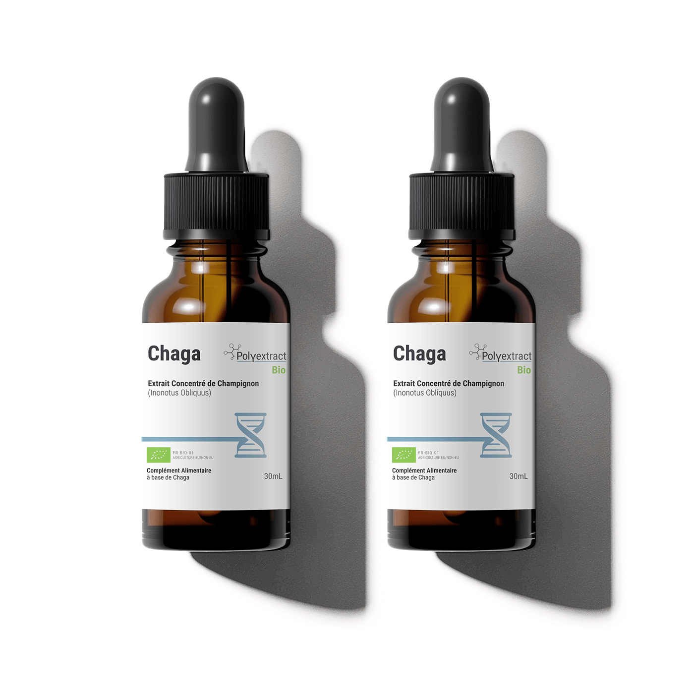 Chaga