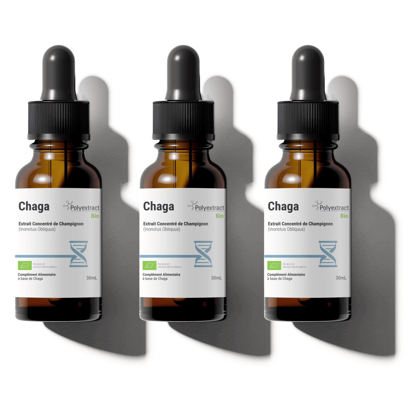 Chaga