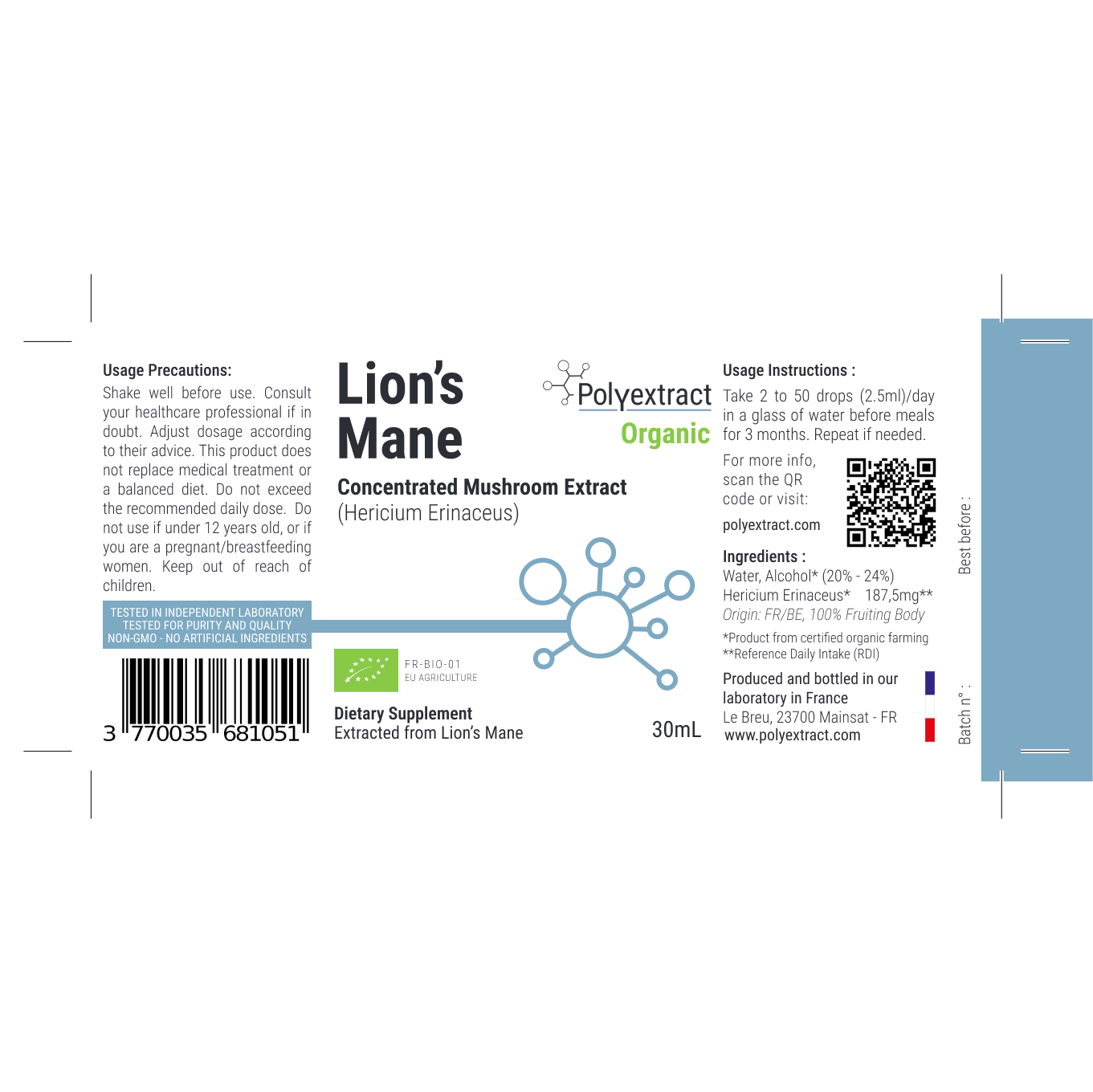 Lion&