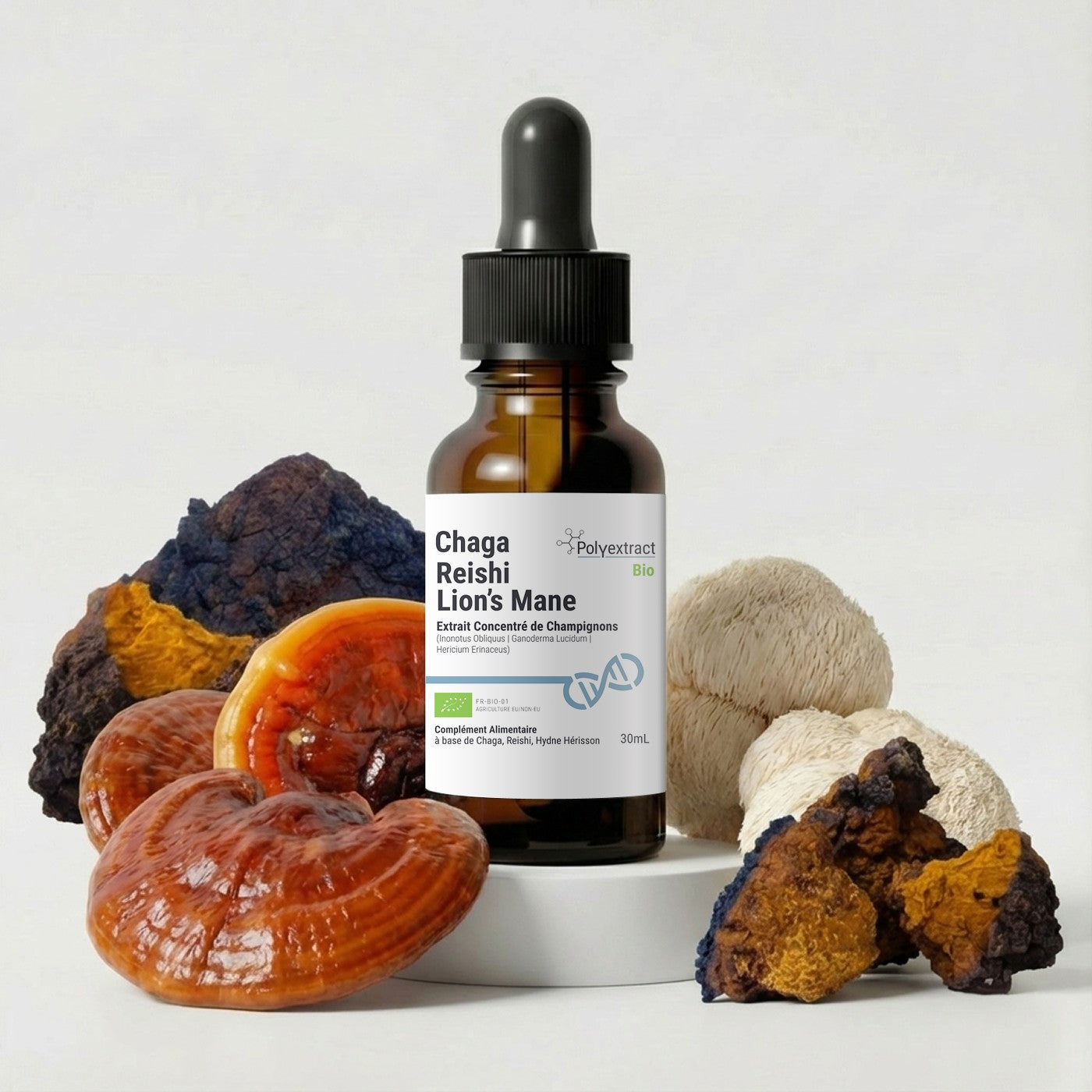 Bottle of Chaga Reishi Lion&