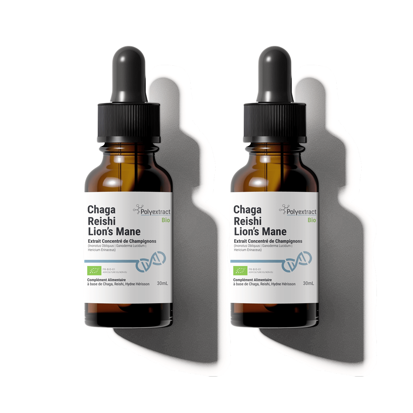 Extrait concentré de champignons Triextract (Chaga, Reishi, Lion’s Mane) par Polyextract, conditionné dans un flacon compte-gouttes en verre ambré de 60ml