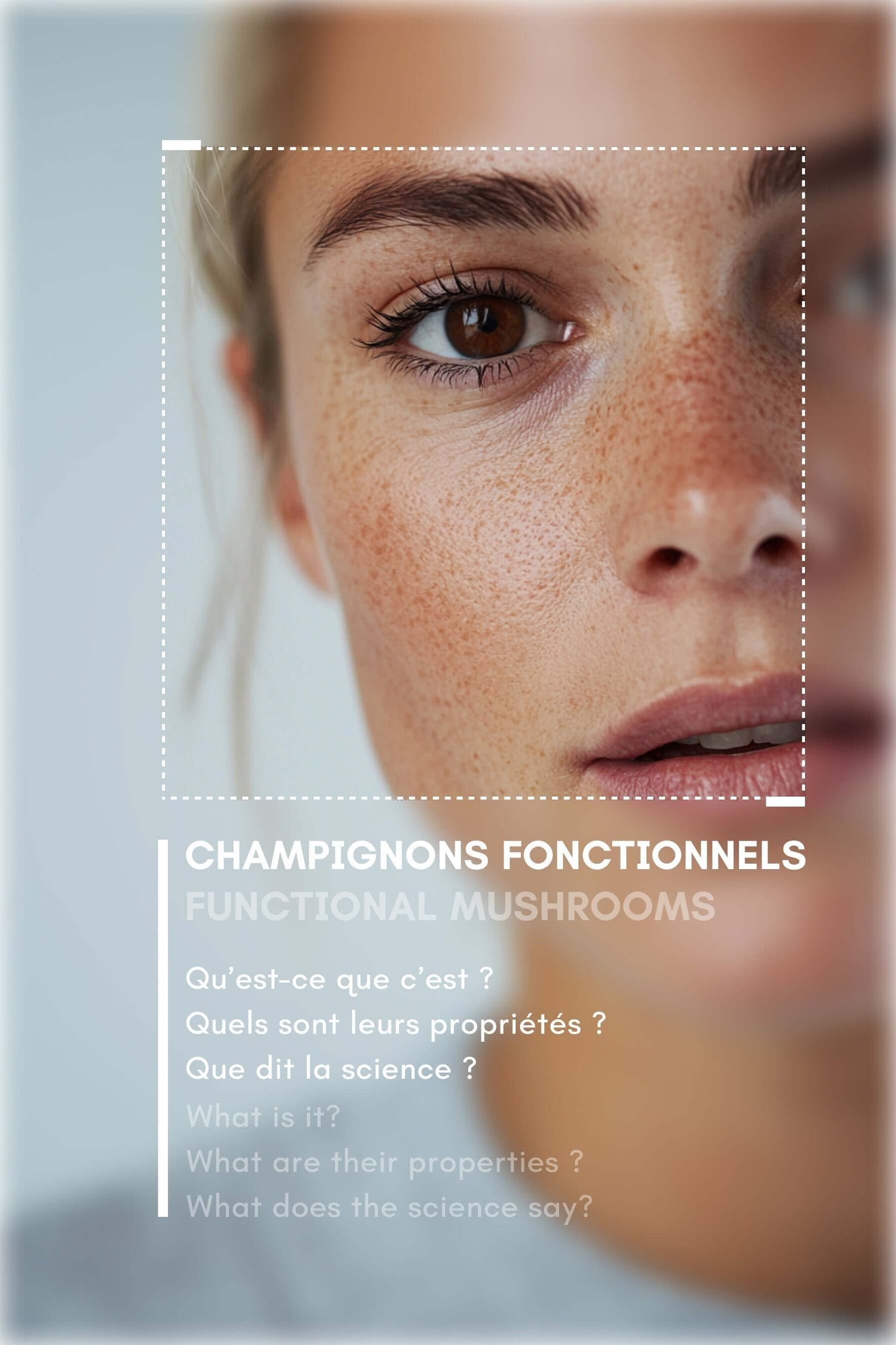 Functional Mushrooms properties: Reishi Lion's Mane Chaga