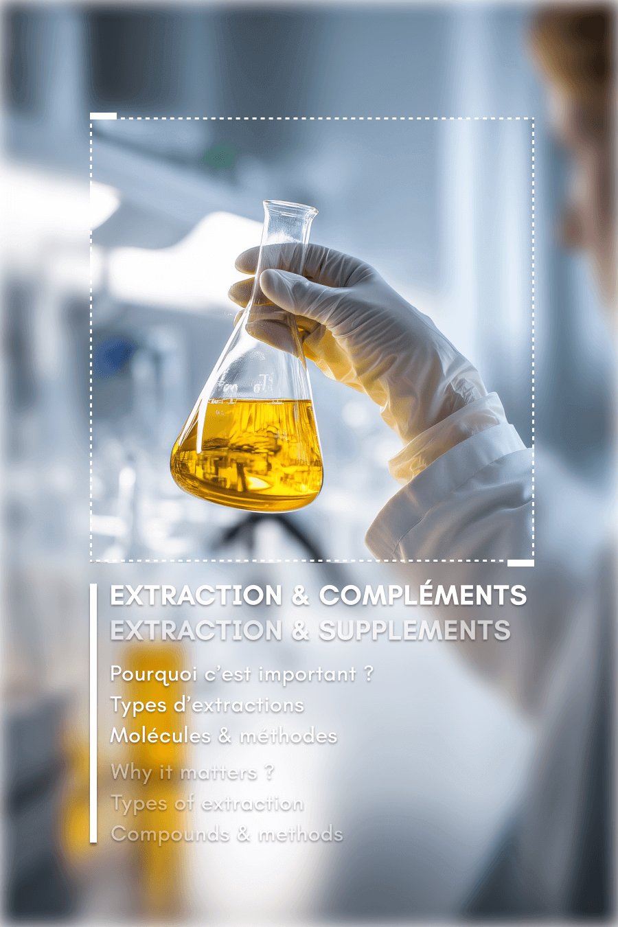 Techniques d'extractions et compléments alimentaires à base de champignons : ce qui compte vraiment