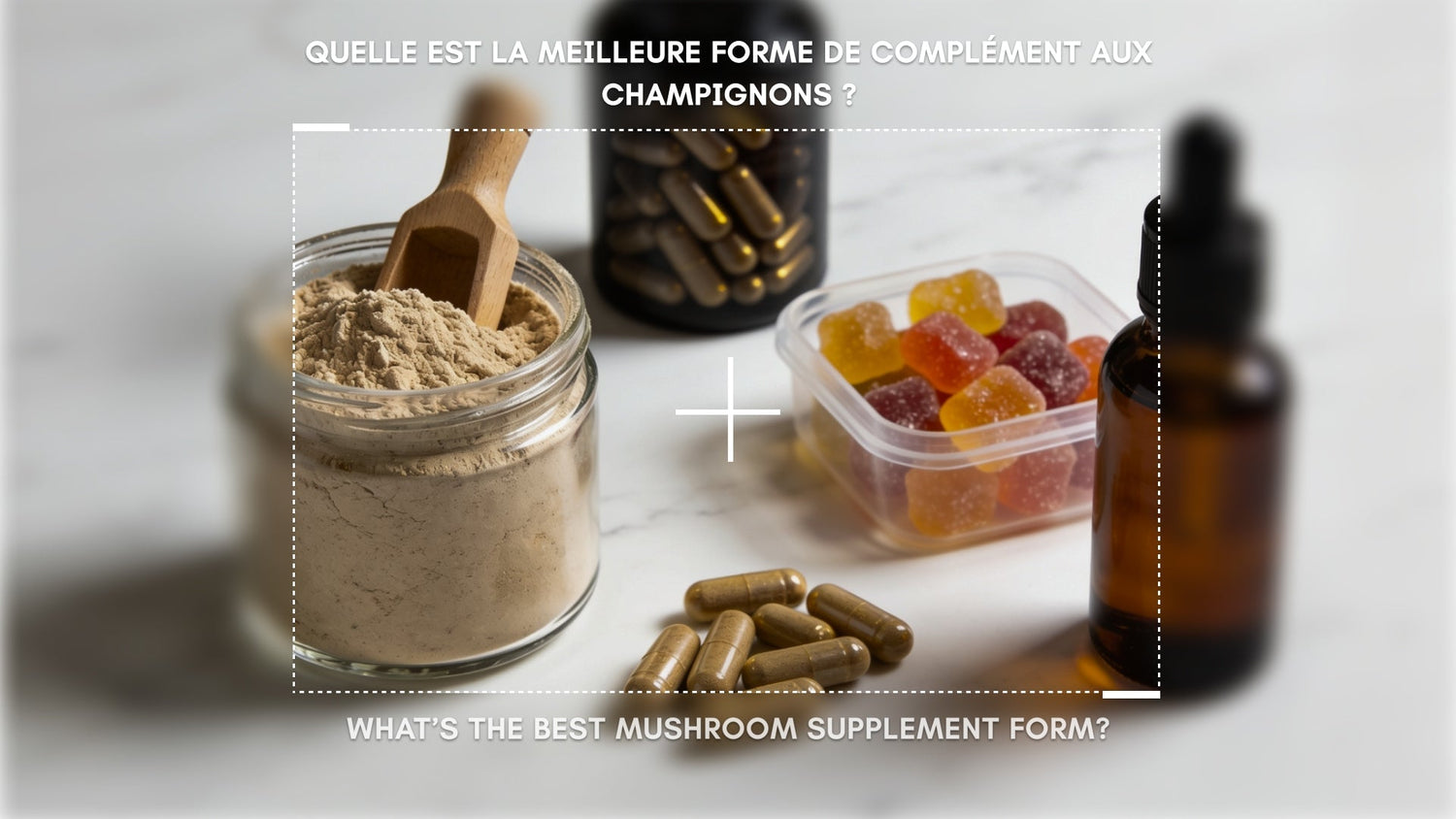Liquid, Powder, or Gummies? The Science of Bioavailability in Mushroom Supplements