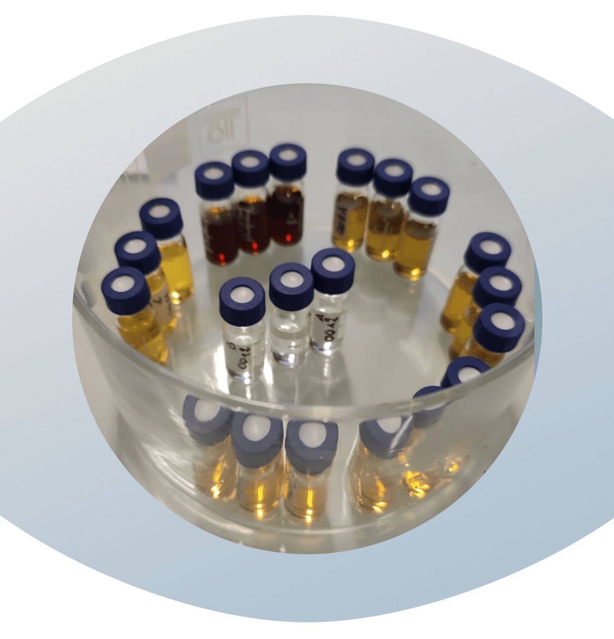 Collection of small Polyextract liquid extracts ready to be tested for HPLC in a laboratory