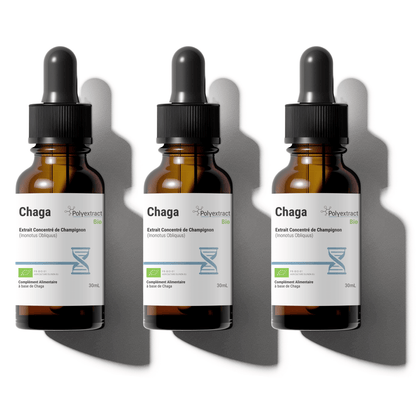 Chaga