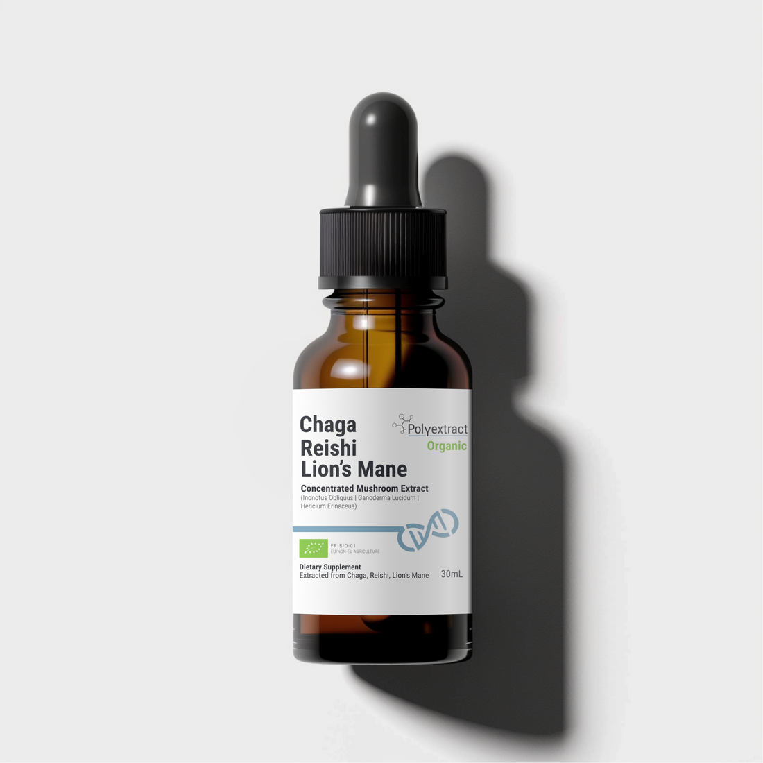 Chaga supplement with Best Reishi and Lion&