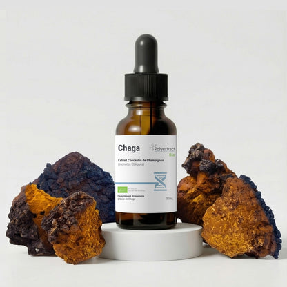 Bottle of Chaga extract from brand Polyextract with chaga mushrooms on a white background
