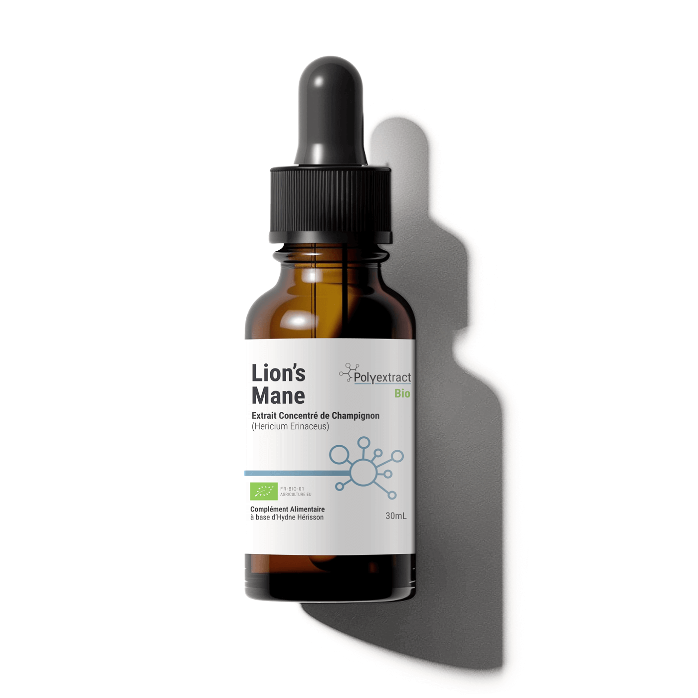 Brown glass bottle with dropper labeled 'Lion's Mane' on a white background - brand name is Polyextract