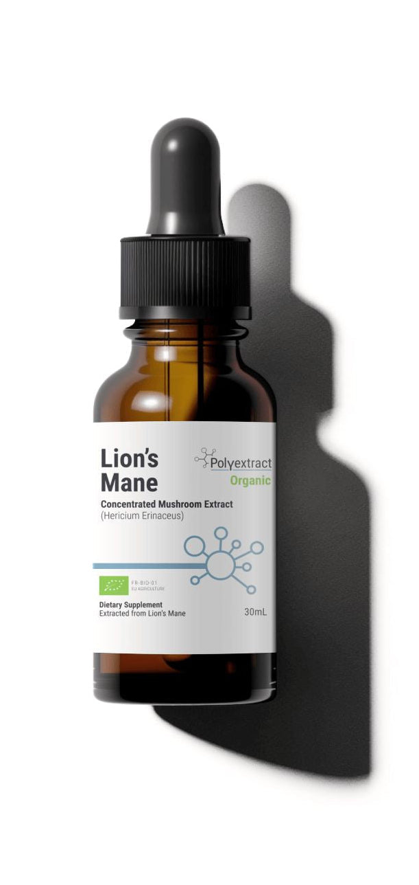 Bottle of Polyextract Mushroom Lion's Mane supplement with dropper on a white background