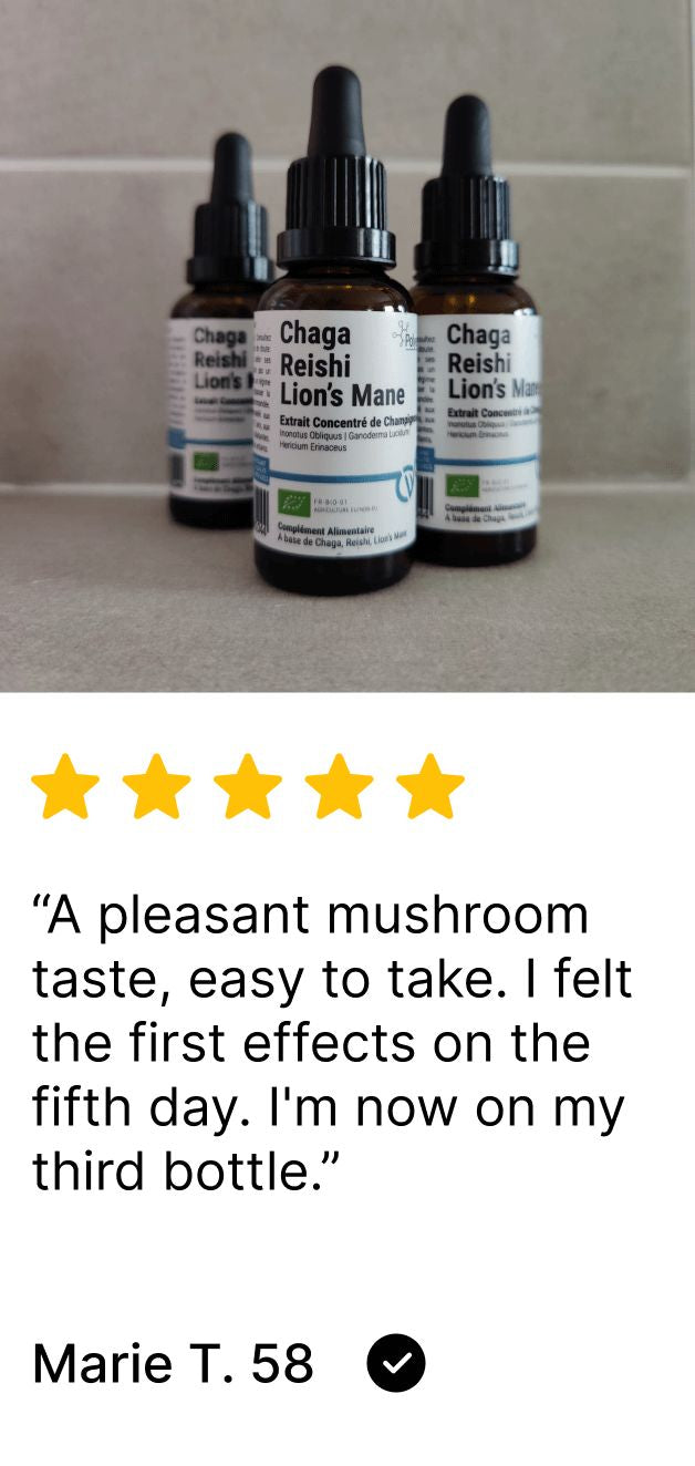 Three Chaga Reishi Lion's Mane Polyextract supplement bottles on a gray surface with a five-star rating and customer review.