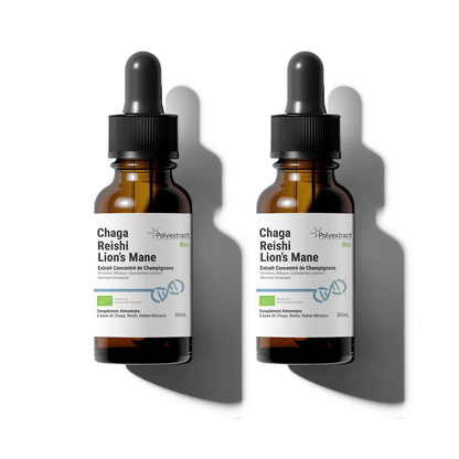 Extrait concentré de champignons Triextract (Chaga, Reishi, Lion’s Mane) par Polyextract, conditionné dans un flacon compte-gouttes en verre ambré de 60ml